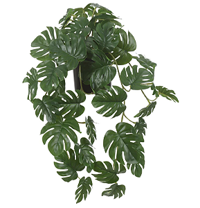 Planta Artificial F.Costela De Adão C/Pote Plástico X40 (verde) 20cm