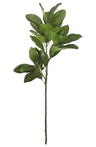 Planta Artificial Galho Magnolia Real Toque X29 (verde) 1,05m