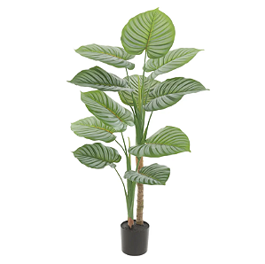 Planta Artificial Calathea Real Toque C/Pote X11 (verde) 90cm
