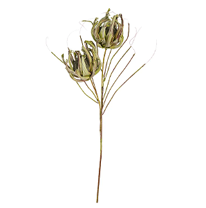 Planta Artificial Haster Protea Eva X2 (verde) 1m