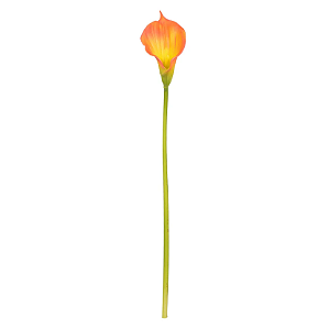 Planta Artificial Haster Copo Leite Eva (laranja) 80cm