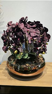 Arranjo 8 Orquideas Purpura Vaso Dourado 35cm