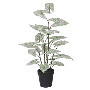 Planta Artificial Arvore Caladium C/Pote Real Toque X19 (branco verde) 53cm
