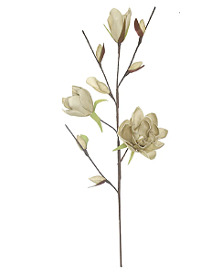 Planta Artificial Magnolia Eva X8 (off white) 87cm