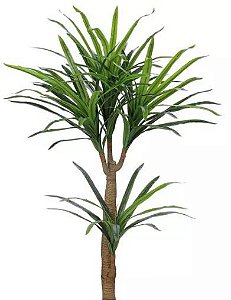 Planta Árvore Artificial Yucca Real Toque Verde 1,2m