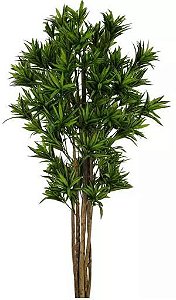 Planta Árvore Artificial Dracena Reflexa Verde Escuro 1,7m