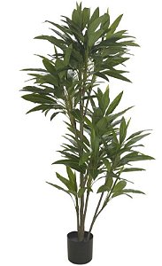 Planta Artifical A.Dracena Real Toque X238 (1,9m)