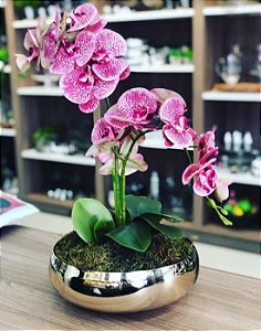 Arranjo com 2 Orquídeas Artificiais rosas e Vaso Cromado na cor dourada