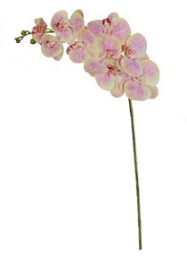 Haste Flor Artificial Orquídea Phalaenopsis Real Toque X9 3D Creme Rosa 96cm