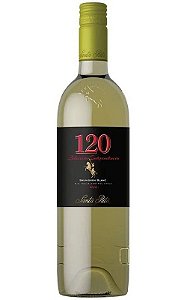 Vinho Chileno Sauvignon Blanc Independencia 120 Colleción