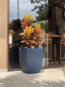 Caixa Bojuda