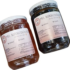 Mel Agroecológico AVSG-500