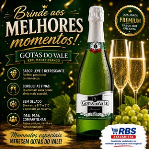 BEBIDA ALCOOLICA MISTA GASEIFICADA MACA 12X660ML - GOTAS DO VALE VIDRO