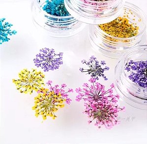 Flor Seca Desidratada Encapsular Unha Decoração Kit - Fan Nails