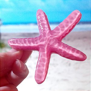 Presilha de Cabelo Estrela do Mar