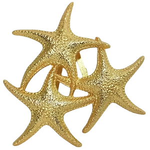 Estrelas do Mar Entrelaçadas Passante Fivela para Vestidos, Biquínis e Cangas