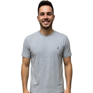 Camiseta Básica Austin Western Cinza