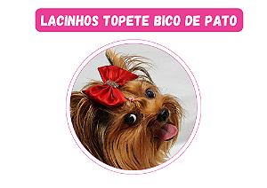 Lacinho de Pato Natal Classico Gaby Moda Pet