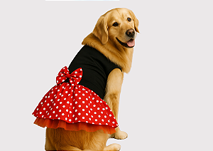Vestido Fantasia Pet Minie Gaby Moda Pet Golden Retrivier