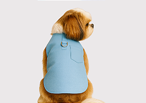 Capinha Pet Alfaiataria Colors Candy Azul para Cachorro Gaby Moda Pet