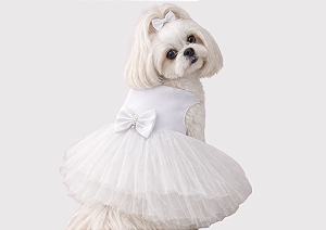 Vestido Pet Personalizada Daminha Boutique Noiva Gaby Moda Pet