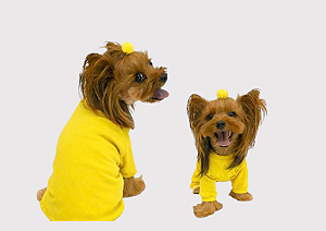Macacão Pijama Pet para Cachorro Algodão Amarelo Gaby Moda Pet