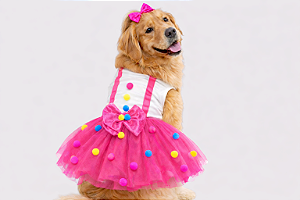 Fantasia Vestido para Cachorro Palhacinha Pink Gaby Moda Pet Golden Retrivier