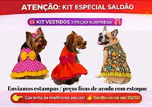 KIT 3 PEÇAS ROUPAS PET LINHA BÁSICA VERÃO VESTIDOS SURPRESA SALDÃO