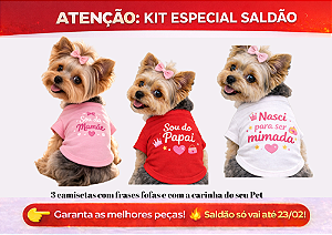 KIT 3 PEÇAS ROUPAS PET LINHA PREMIUM FRASES FOFAS MENINA SALDÃO