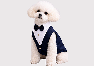 Terno para Cachorro – Roupa Pet Social para Azul Marinho Porte Pequeno