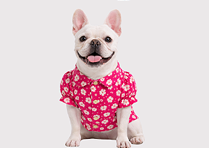 Camiseta para Cachorro Bulldogue Floral Rosa com Botão de Pressão Roupa Pet Confortável Gaby Moda Pet