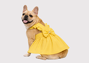 Vestido para Cachorro Bulldogue Francês Luxo Amarelo Alfaiataria Roupa Pet Premium Gaby Moda Pet