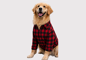 Camisa Pet Xadrez Vermelho Manga Longa Gaby Moda Pet Golden Retrivier
