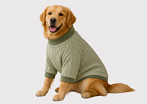Roupa Suéter Tricô Premium Verde para Cães de Grande Porte Golden Retrivier