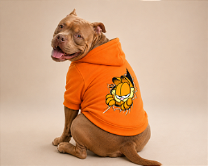 Blusa de Frio para Cachorro Moletom para Pitbull e American Bully com Capuz Laranja Moletom Personagem