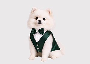 Terno Social Smoking Pet Verde Esmeralda Premium em Tecido Prada | Alta Costura para Cães de Pequeno Porte