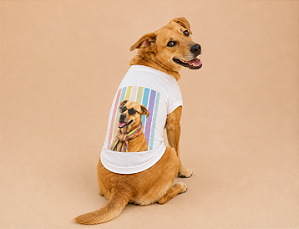 Camisetas T-Shirt para Pets em Algodão – Personalizadas com Estampas de Raças Caramelo