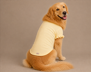 Camiseta TShirt Pet Algodão Amarela Premium Gaby Moda Pet Golden Retrivier