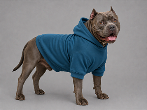 Blusa de Frio para Cachorro Moletom para Pitbull e American Bully com Capuz Cinza| Moletom Azul