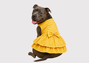 Vestido Laise Amarelo Porte Grande Gaby Moda Pet Tamanho GG1