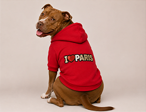 Moletom Paris Tamanho Eg Pitbull