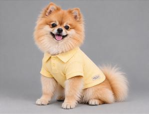 Roupa para Cachorro Polo Porte Pequeno Amarela– Blusa 100% Algodão Canelada
