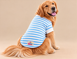 Camiseta Pet Petit Listrada Azul e Branca 50% Algodão – Gaby Feulo Moda Pet Porte Grande