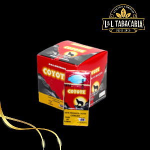 PALHEIRO COYOTE | CAIXA C/ 10