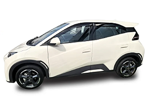 Calha chuva BYD Dolphin Mini acrilica TG Poli