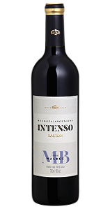 Vinho Salton Intenso Tinto Malbec