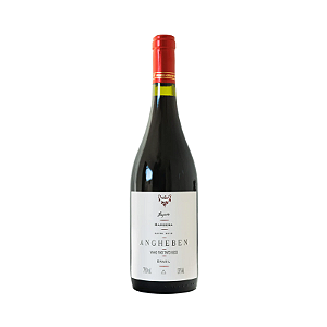 Vinho Angheben Barbera 2019