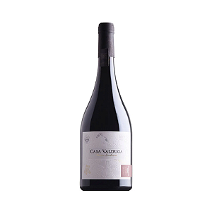 Vinho Casa Valduga Terroir Exclusivo Touriga Nacional e Gewurztraminer