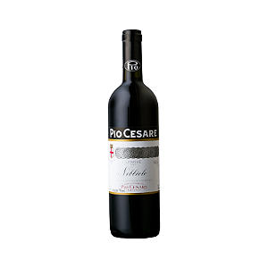 Vinho Pio Cesare Langhe Nebbiolo 2020