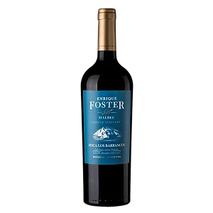 Vinho Enrique Foster Single Vineyard Los Barrancos Malbec 750ml